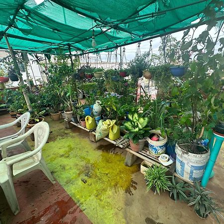 Jmj Residency Villa Hyderabad Ngoại thất bức ảnh